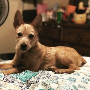 Meet your Posher, Jody